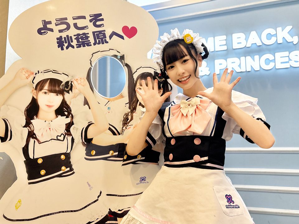 めいどりーみん ご入国